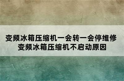 变频冰箱压缩机一会转一会停维修 变频冰箱压缩机不启动原因